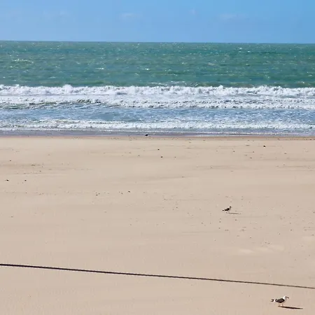 Aranpe Playa Cadiz